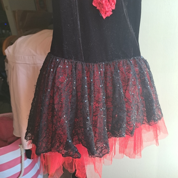 Recital ballet dance tutu dress - Picture 3 of 7